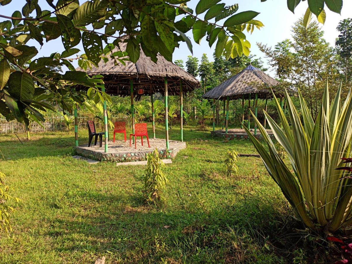 Grasshopper Jungle Queen Resort Chālsa Esterno foto